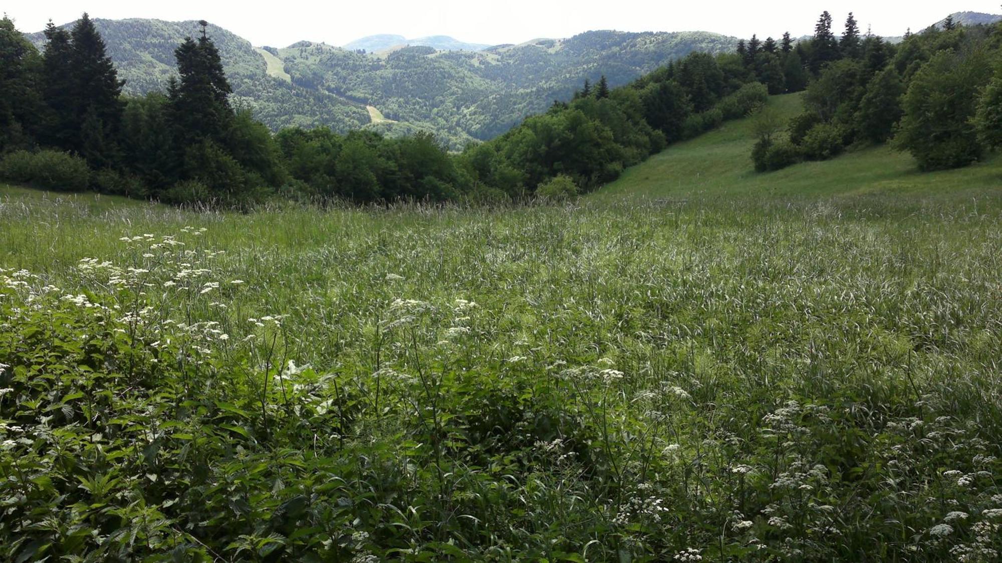 Apartmány Weissov Dom Banská Štiavnica Exterior foto